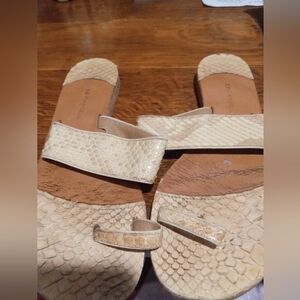 Elegant Cream Sandals